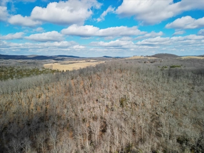 Hunting Property and Home for Sale Southern Missouri Ozarks - image 13