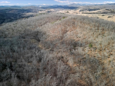 Hunting Property and Home for Sale Southern Missouri Ozarks - image 18