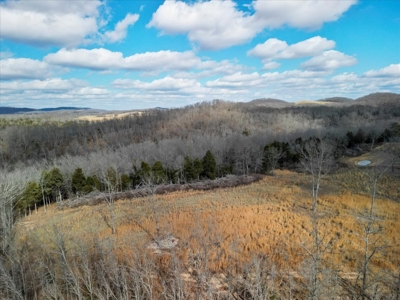 Hunting Property and Home for Sale Southern Missouri Ozarks - image 10