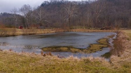 East Tennessee Farm for Sale –Greene County - image 3