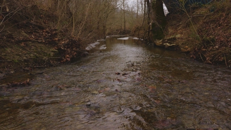 East Tennessee Farm for Sale –Greene County - image 32