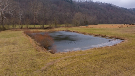 East Tennessee Farm for Sale –Greene County - image 2