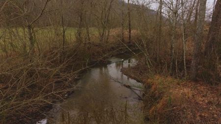 East Tennessee Farm for Sale –Greene County - image 30