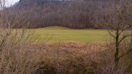 East Tennessee Farm for Sale –Greene County - image 5