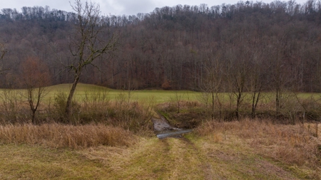 East Tennessee Farm for Sale –Greene County - image 20