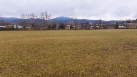 East Tennessee Farm for Sale –Greene County - image 8