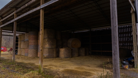 East Tennessee Farm for Sale –Greene County - image 25