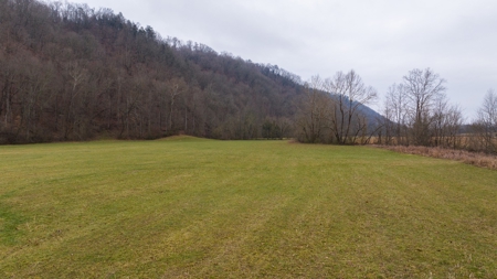 East Tennessee Farm for Sale –Greene County - image 24