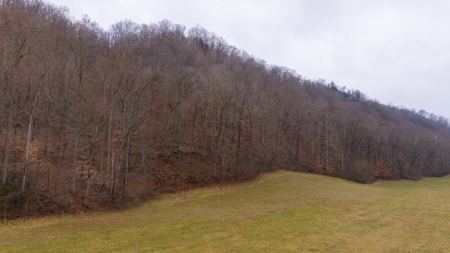 East Tennessee Farm for Sale –Greene County - image 10