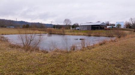 East Tennessee Farm for Sale –Greene County - image 4