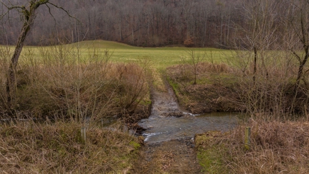 East Tennessee Farm for Sale –Greene County - image 21