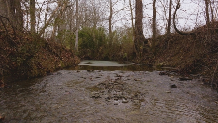 East Tennessee Farm for Sale –Greene County - image 31