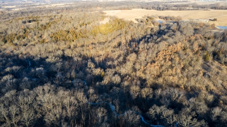 99+/- Acres | Southern Iowa Hunting & Recreational Property - image 19
