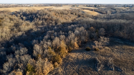 99+/- Acres | Southern Iowa Hunting & Recreational Property - image 16