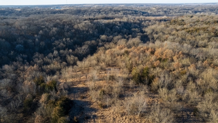 99+/- Acres | Southern Iowa Hunting & Recreational Property - image 17