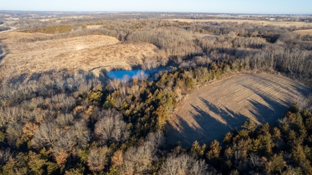99+/- Acres | Southern Iowa Hunting & Recreational Property - image 7