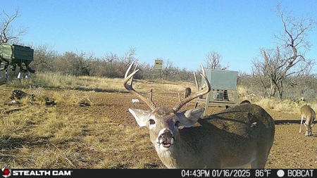 Turnkey Hunting Ranch in Gouldbusk, TX for Sale - image 1