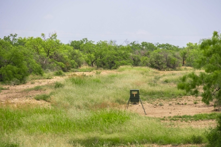 Turnkey Hunting Ranch in Gouldbusk, TX for Sale - image 47