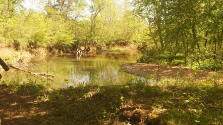 Arkansas Land For Sale In Sharp County - image 2