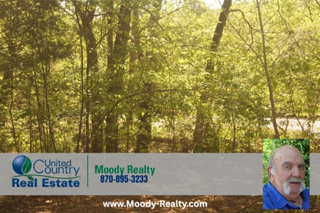 Arkansas Land For Sale In Sharp County - image 5