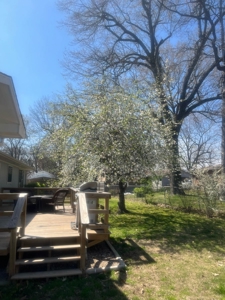Country Home With Shop For Sale In Baxter County Arkansas - image 43