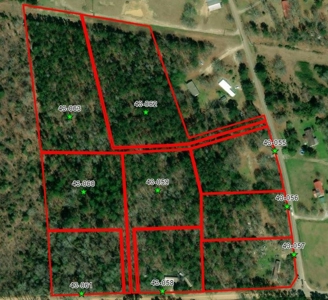 No Restriction Lots - Beauregard, AL - image 1