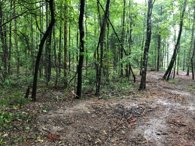 No Restriction Lots - Beauregard, AL - image 6