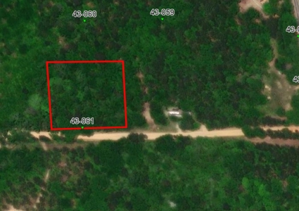 Lot #9 -- No Restriction Lots - Beauregard, AL - image 7