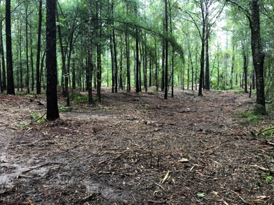 No Restriction Lots - Beauregard, AL - image 4