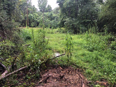 No Restriction Lots - Beauregard, AL - image 2
