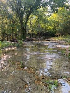 Hunting Land For Sale In Arkansas - image 5