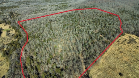 Hunting Land For Sale In Arkansas - image 1