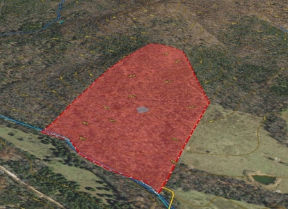 Hunting Land For Sale In Arkansas - image 9
