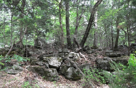 Hunting Land For Sale In Arkansas - image 2