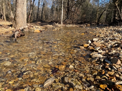 Hunting Land For Sale In Arkansas - image 7