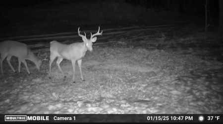 Hunting Land For Sale In Arkansas - image 8