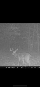 Hunting Land For Sale In Arkansas - image 3