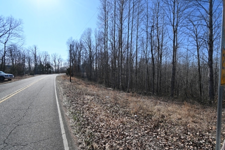 Tract 1 for Sale in Linden, Tennessee - image 1