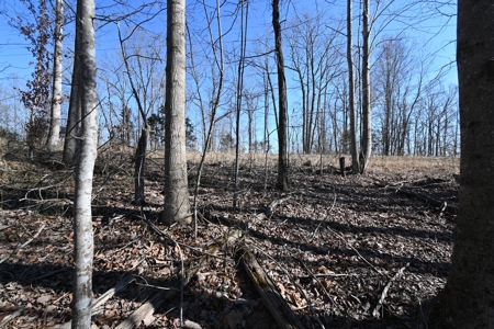 Tract 1 for Sale in Linden, Tennessee - image 3