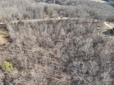 Tract 1 for Sale in Linden, Tennessee - image 9