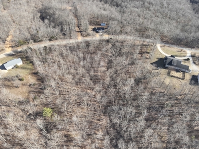 Tract 1 for Sale in Linden, Tennessee - image 8