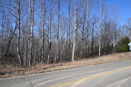 Tract 1 for Sale in Linden, Tennessee - image 7