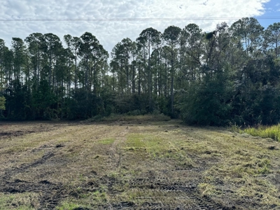 Commercial/Residential land for sale near Cedar Key Florida! - image 2