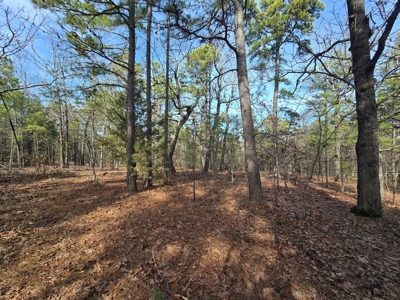 23.7 Acre Recreational Property - Off-Grid Cabin - image 21