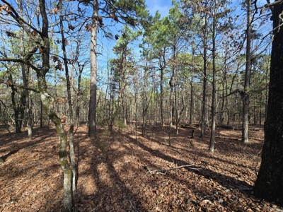 23.7 Acre Recreational Property - Off-Grid Cabin - image 28