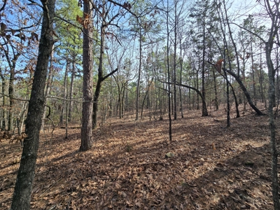 23.7 Acre Recreational Property - Off-Grid Cabin - image 25