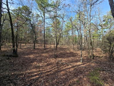 23.7 Acre Recreational Property - Off-Grid Cabin - image 20
