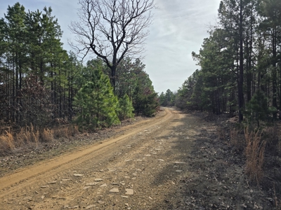 23.7 Acre Recreational Property - Off-Grid Cabin - image 18