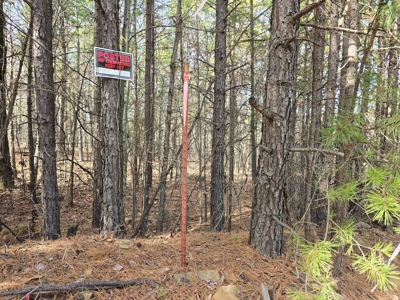23.7 Acre Recreational Property - Off-Grid Cabin - image 17