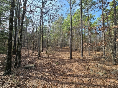 23.7 Acre Recreational Property - Off-Grid Cabin - image 19
